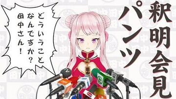 【田中ヒメ初投稿】パンツが設定画にのっていたことについての釈明会見
