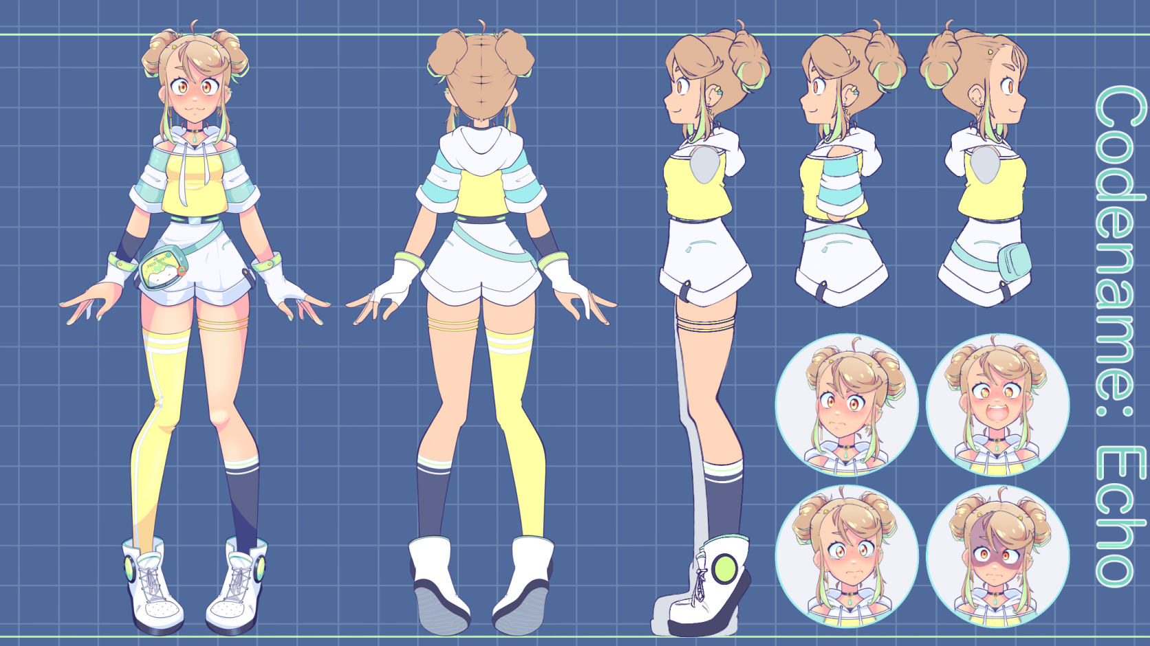Echo Refrence Sheet