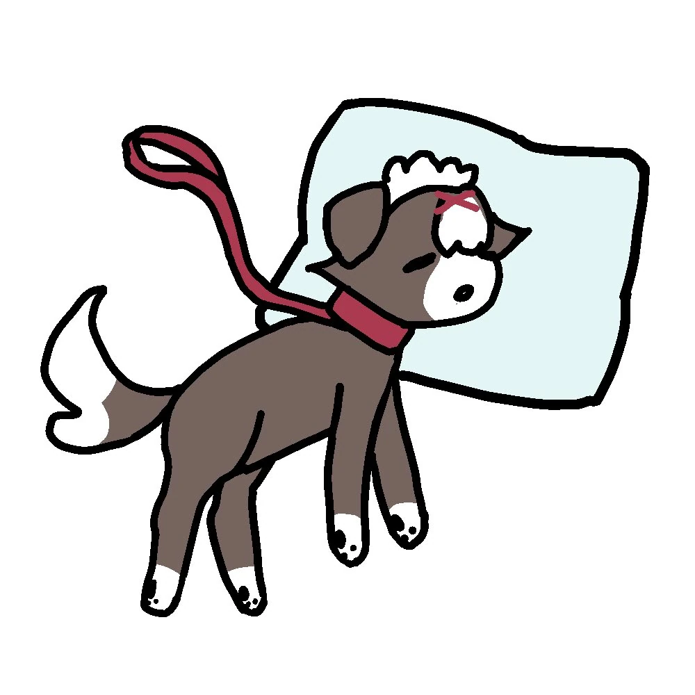 Sleep