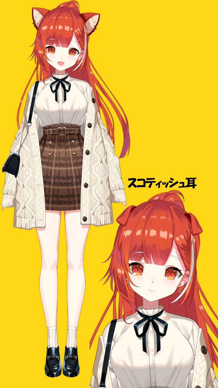 Casual Outfit With Ponytail
