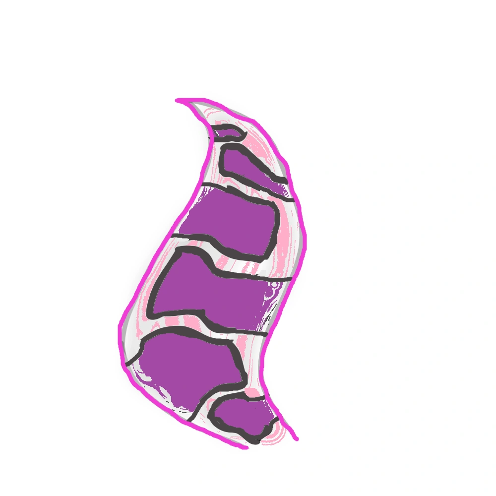 2wintails