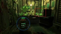 Location and image of helmet