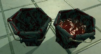 Two buckets, one full, one empty, both dirty.
