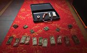 All 22 stacks of money and the briefcase.