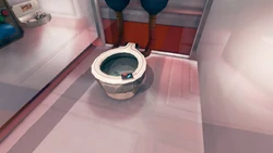 The pill case is inside the toilet