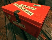 Bob's trunk.