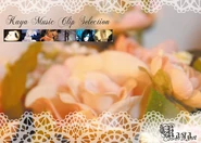 Kaya DVD7.jpg (47 KB) 2015.04.17 Kaya Music Clip Selection