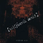 SULFURIC ACID 【s∧lfj'urik 'aesid】 EP (2006.03.27)