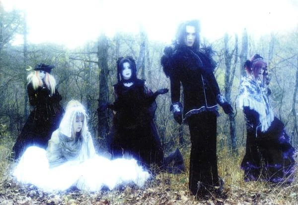 Noir fleurir 2枚組ベストアルバム Noir fleurir | Visual Kei Encyclopaedia | Fandom