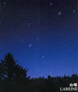 白蝶 single (2003.12.24)