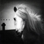 LESSON 2 mini-album (2010.12.8)