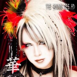 THE SOUND BEE HD | Visual Kei Encyclopaedia | Fandom