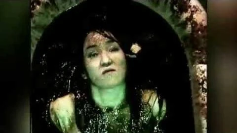 ZAN | Visual Kei Encyclopaedia | Fandom