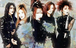 BAISER アルバムセット「華」「Terre」　V系　ヴィジュアル系 Amazon.co.jp: 華: Music