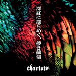 Chariots 1.jpeg (136 KB) 深紅に揺らめく、儚き鶺鴒 mini-album (2016.11.16)