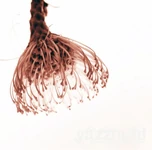 yazzmad mini-album (2011.6.22)