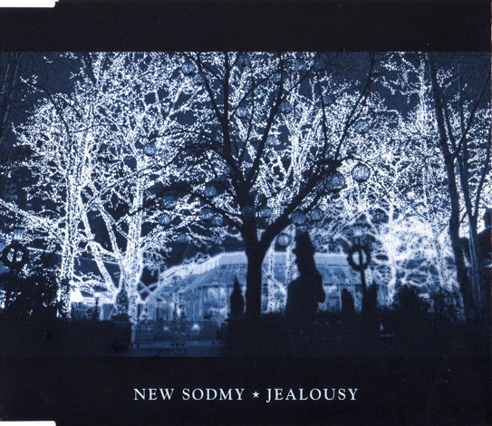 NEW SODMY Confess to a Crime ライブ会場限定盤 - CD