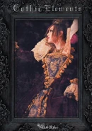 Kaya DVD5.jpg (47 KB) 2014.04.23 Gothic Elements