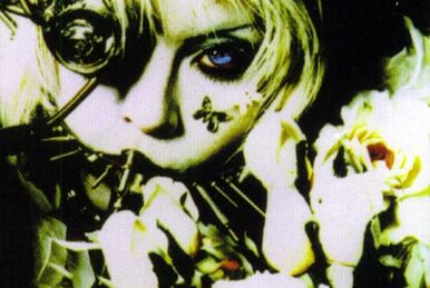 BLAM HONEY | Visual Kei Encyclopaedia | Fandom