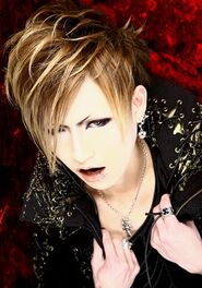 Diaura shoya