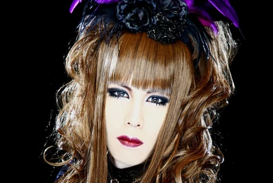 邦楽 STRIPPE-D LADY VS La'cryma Christi STRIPPE-D LADY - La'cryma Christi | vkgy (ブイケージ)