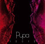 Pupa 11.12.2013