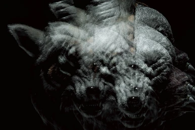 Gozen 0-ji no Trauma Radio (single) | Visual Kei Encyclopaedia