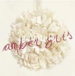 Amber gris | Visual Kei Encyclopaedia | Fandom