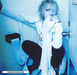 Ruki Wiki Visual Kei Fandom