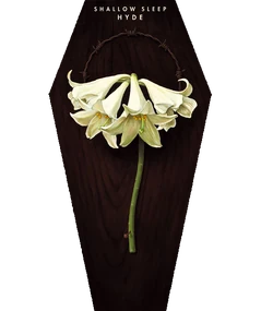 SHALLOW SLEEP | Wiki Visual Kei | Fandom