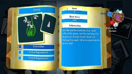 Orchid Journal