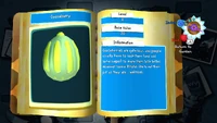 Gooseberry Journal