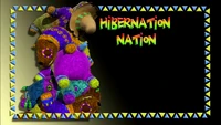 Hibernation Nation