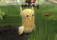 Hootyfruity OrangeVariant.jpeg (81 KB) Orange variant