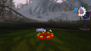 Wild Piñata