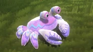 Purple custacean.jpeg (41 KB) White and pink variant