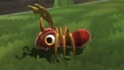 Horn on forehead wildcard