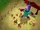 Hudson, Whirlms, and Baby Cluckles Top Down View.png