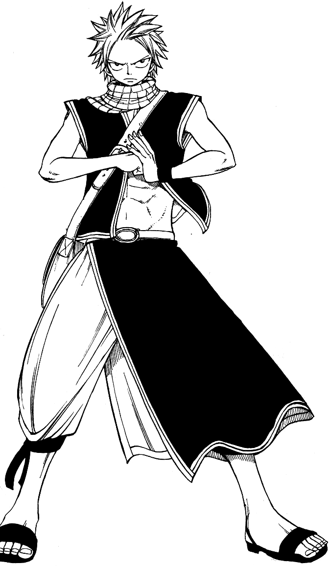 Natsu Dragneel, Fairy Tail Family Wiki