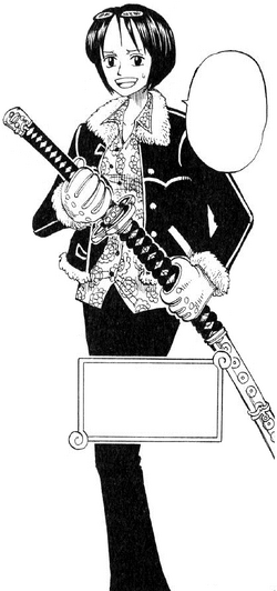 Tashigi Viz Fairy One Piece Tail Wiki Fandom