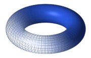 Torus