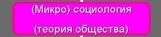 (микро) социология (теория общества)