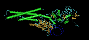 Stat3 structure