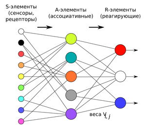 Perceptron