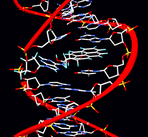 Pyrene adduct
