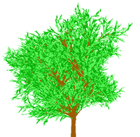 Fractal tree