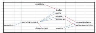 Семантическая карта