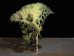 Fractal tree (Plate b - 3)