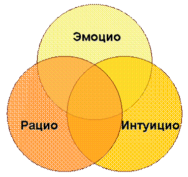 Рацио и аргенти. Рацио и эмоцио. Рацио эмоцио интуицио. Человек эмоции и рацио. Рацио и эмоцио картинки.