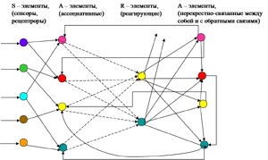 Архитектура четырехслойного перцептрона для распознования и управления R - последовательностями с неопределенной продолжительностью элементов